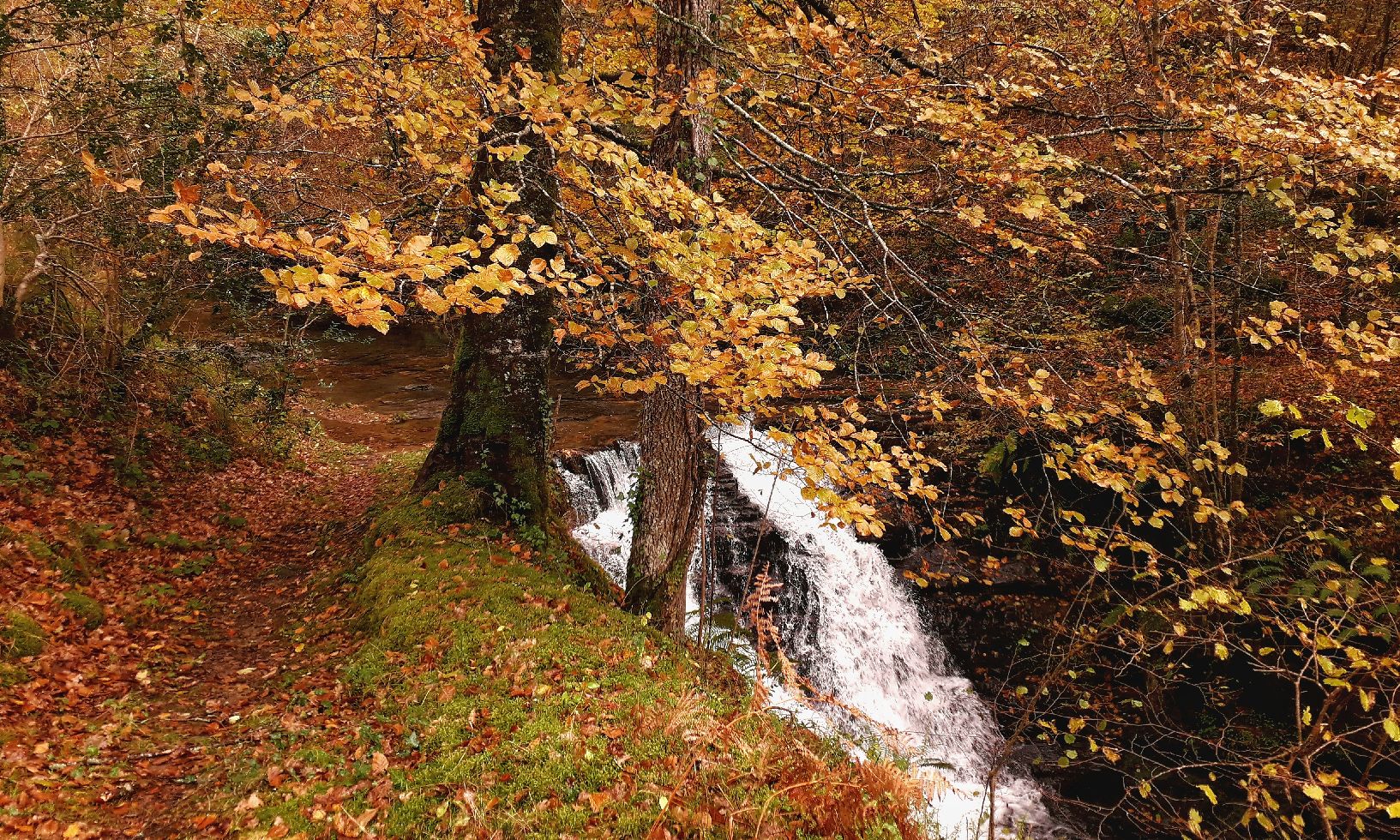 Cascadas de Viaña